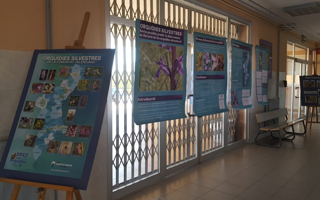 EXPOSICIÓ SOBRE ORQUÍDIES SILVESTRES