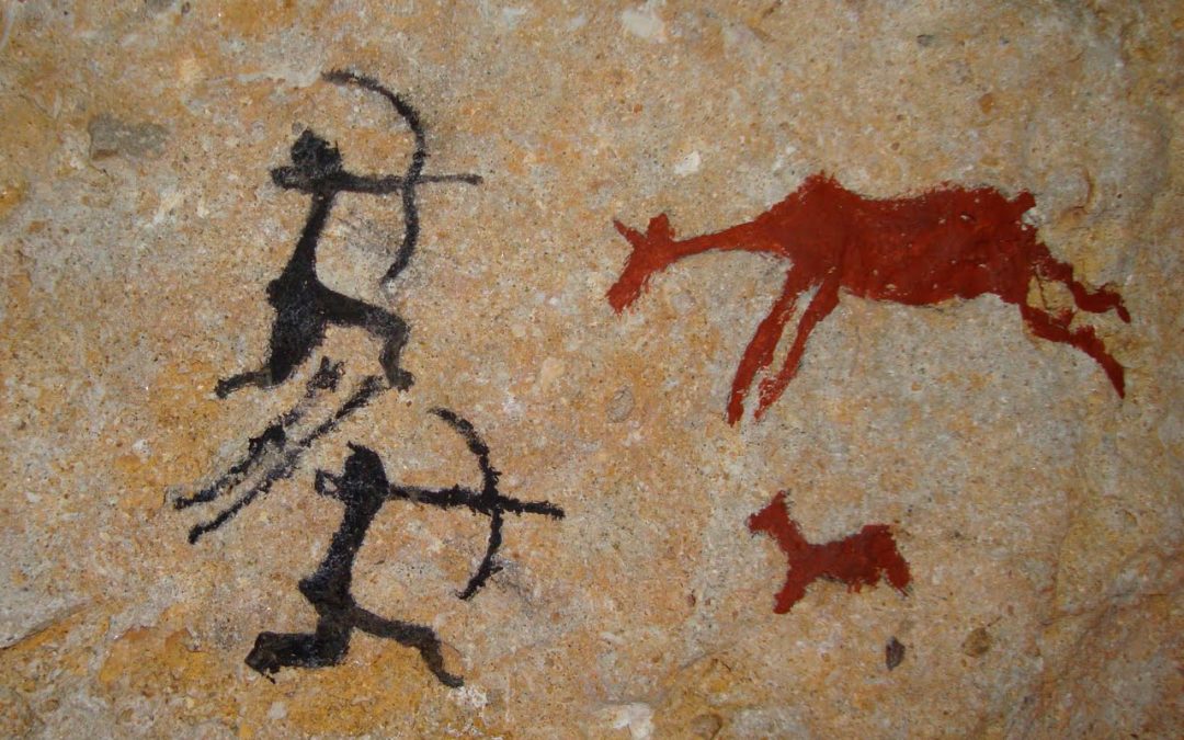 VISITA A LA VALLTORTA: 1r d’ESO