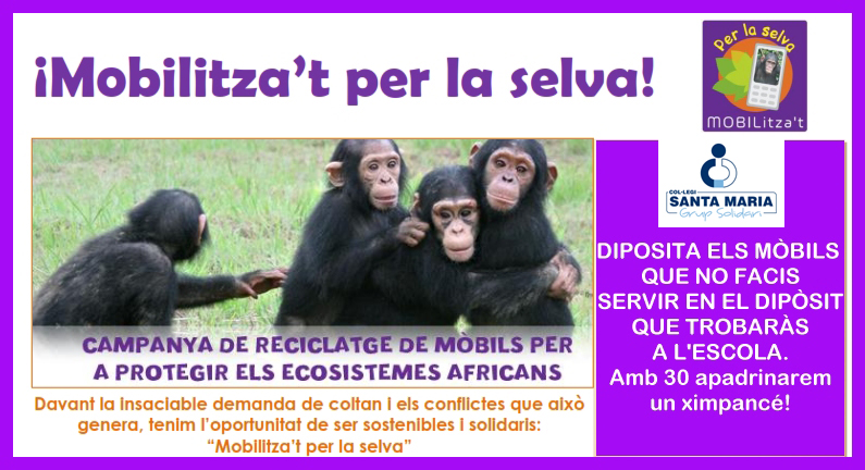 CAMPANYA DE RECOLLIDA DE MÒBILS INSERVIBLES