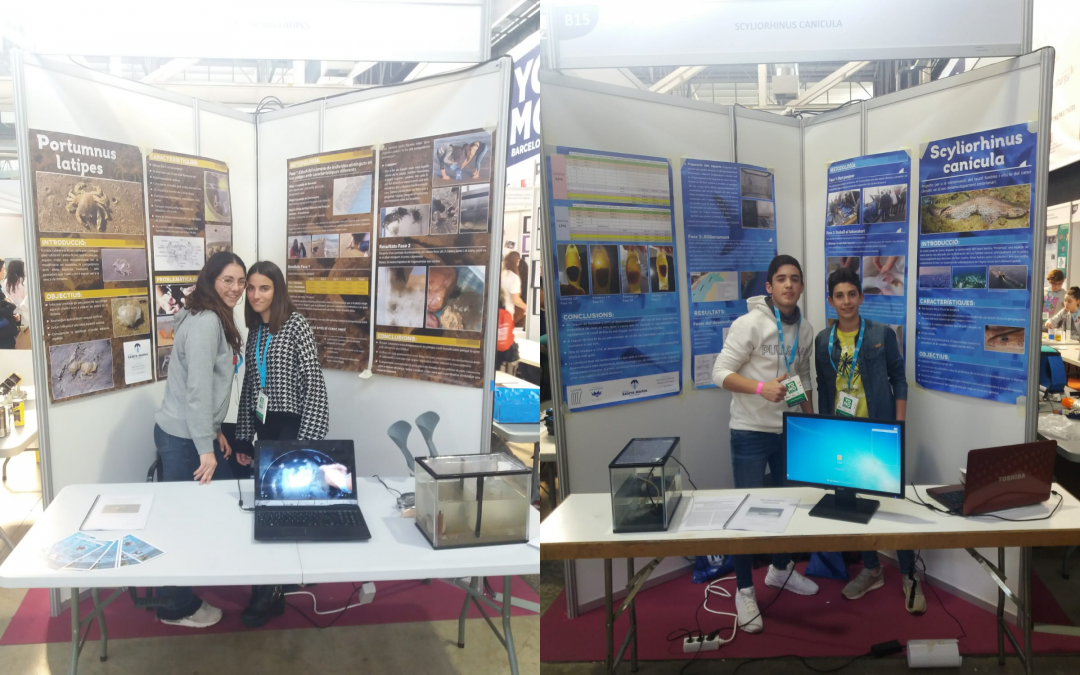 4 ALUMNES DEL SANTA MARIA EN UNA FIRA INTERNACIONAL DE CIÈNCIES