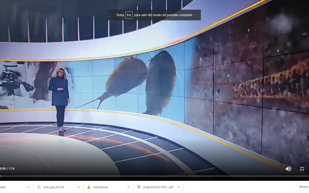 NOTÍCIA APUNT PREMIS INJUVE