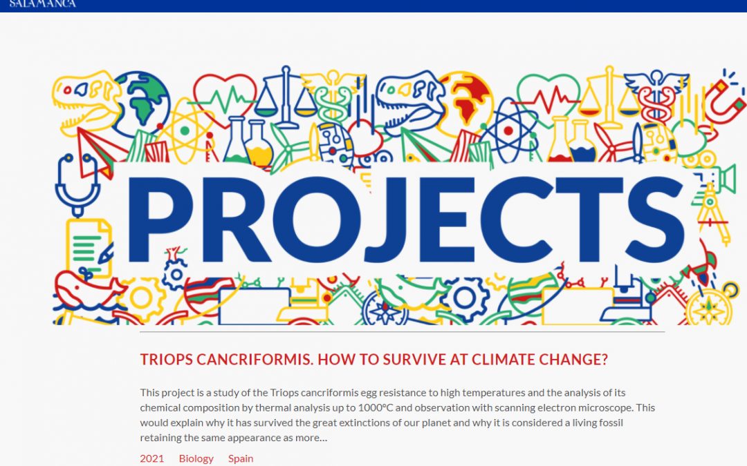 ALUMNES DEL SANTA MARIA AL CONCURS DE LA UNIÓ EUROPEA PER A JOVES CIENTÍFICS