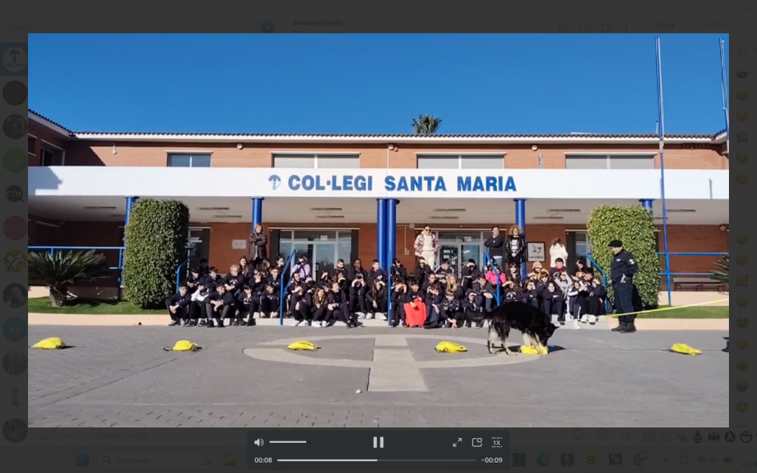 UNA SETMANA PLENA D’ACTIVITATS