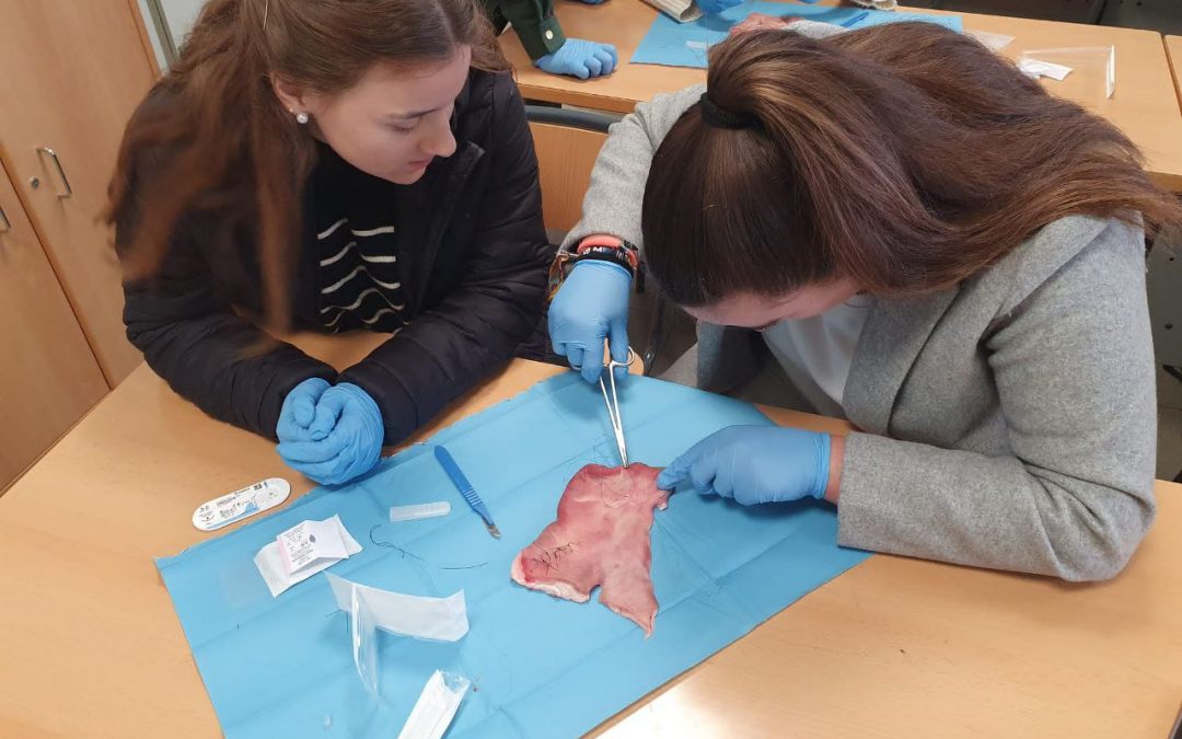 PRÀCTIQUES D’ANATOMIA